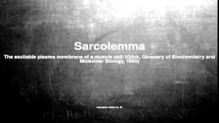 Medical vocabulary What does Sarcolemma mean [upl. by Notsirb]