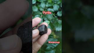 Pyrite shorts pyrite facts geology geologist youtubeshorts youtube wow crystals mineralogy [upl. by Aynwad]