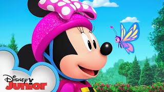 Bouncing Baby Butterfly  Minnies BowToons Camp Minnie 🏕🎀 disneyjr​ [upl. by Moll]