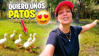 Quiero unos Paticos pero el Titi No me Deja 😅 Sandra Cires Vlog [upl. by Clarance839]