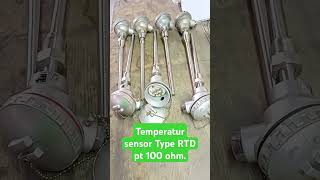 Temperatur sensor Type RTD pt 100 ohm [upl. by Metzger86]