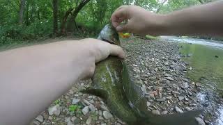 First Time Fishing The Juniata River [upl. by Ellehcem361]