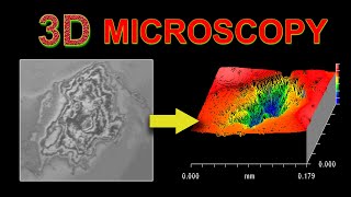 Exploring White Light Interferometry WLI  CSI [upl. by Yntirb]