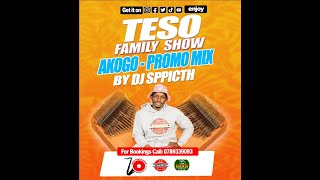 Akogo Music Mix 2  DJ sppitch [upl. by Anotyad]