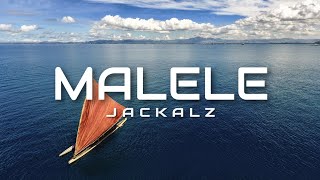 Liz Vamarasi  Malele Jackalz Remix [upl. by Einnil797]