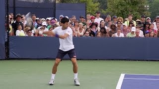 Novak Djokovic Ultimate Compilation  Forehand  Backhand  Overhead  Volley  Serve  2013 Cincinn [upl. by Luedtke]