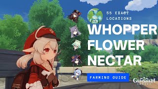 GENSHIN IMPACT  55 WHOPPER FLOWER NECTAR LOCATION INCLUDING HIDDEN WHOPPERS AND HOW TO SUMMON IT [upl. by Allenad]