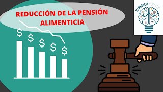 REDUCCIÓN DE LA PENSIÓN ALIMENTICIA [upl. by Faust]