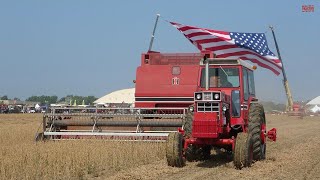 TRACTORS at Work INTERNATIONAL 1566 [upl. by Yarg49]