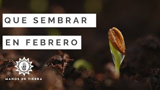 Que Sembrar En FEBRERO calendario de siembrahemisferio norte y sur [upl. by Octavius524]