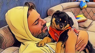 Baby Chloe Cute Moments With Daddy  The Father Of Rottweilers rottweiler cutedog [upl. by Ellevart]