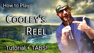 COOLEYS REEL Tin Whistle Tutorial  TABS [upl. by Shaum]