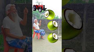 Rounding cut green coconuts to Alto Rollar Jcb amp Tractor  Vehicles names magic video [upl. by Aym]