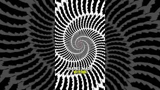 CRAZY ILLUSION  HYPNOTISE YOUR EYES AND WATCH UNTIL THE END crazyillusion illusion [upl. by Andel]