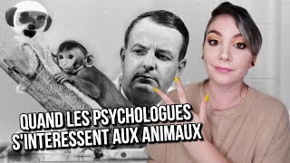 3 EXPÉRIENCES de Psychologie basées sur des ANIMAUX [upl. by Acnayb749]