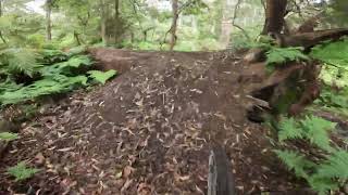 NAROOMA MTB PARK WALBUNJA WHIPBIRD [upl. by Naletak933]