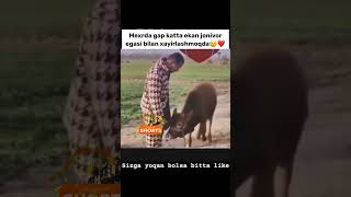 SIZDAN NIMA KETI VIDEOGA BITTA LIKE BOSING ❤️👍funny 1mln comedyvideos instagram subscribe japa [upl. by Hagai]