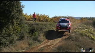 RALLYE TERRE DU VAUCLUSE 2023 DAY 1 JUMP SHOW AND MISTAKES [upl. by Coke]