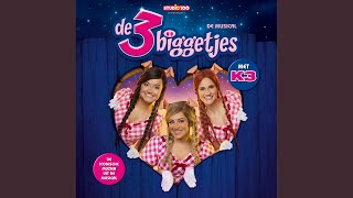 Het is gedaan met de biggen musical De 3 Biggetjes [upl. by Heidy]