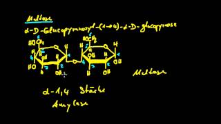 Organische Chemie  11 Kohlenhydrate 3  Disaccharide [upl. by Akedijn]