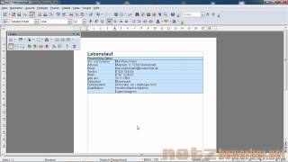 Lebenslauf in Open Office [upl. by Lavine767]