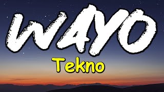 Tekno  Wayo Lyrics [upl. by Ahsienaj]