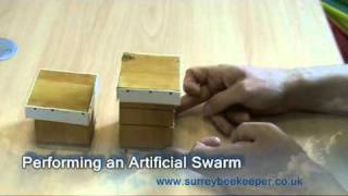 How to perform an artificial swarm [upl. by Norvil]