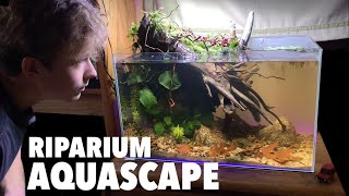 EPIC 10 Gallon Riparium Aquascape With Locally Collected Materials [upl. by Susette]