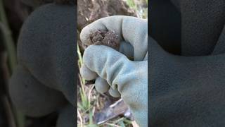 Mystery find METAL DETECTING so frustrating… metaldetecting treasurehunting [upl. by Garry]