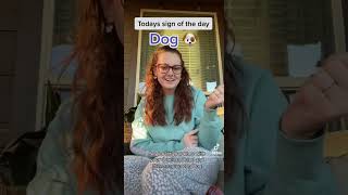 Learn How To Sign Dog in ASL for Beginners  American Sign Language shorts [upl. by Atterual]