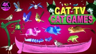 CAT GAMES COMPILATION  BEST CAT GAMES ON SCREEN  CAT ENTERTAINMENT VIDEOS MOUSE amp BIRDS 4K8 HOURS [upl. by Musser]