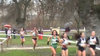 Campeonato de España de campo a traves por autonomias Avila 2013 Cadete Femenino [upl. by Micheil]