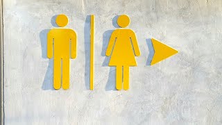 UK leading the ‘Western world’ on policies banning genderneutral bathrooms [upl. by Awhsoj166]