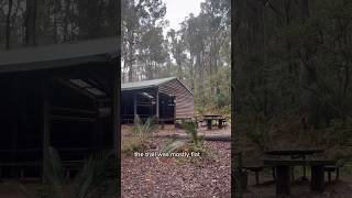 1000km solo hike through WA  Full Bibbulmun Track hike video from spring 2023 on my channel 🥾🌱 [upl. by Eiznek]