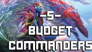 5 Budget Commanders [upl. by Mines]