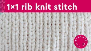 1x1 Rib Stitch Knitting Pattern for Beginners 2 Row Repeat [upl. by Erik]