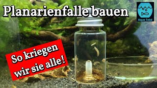 Planarienfalle selber bauen  DIY Projekt zur Bekämpfung von Planarien im Aquarium [upl. by Boucher]