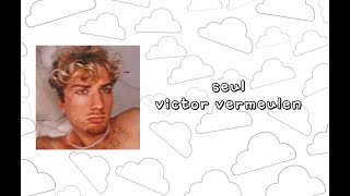 Victor Vermeulen seul  lyrics vidéo [upl. by Annaiv178]