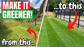 How to get a THICKER and GREENER LAWN  Its time to keep lawn care SIMPLE [upl. by Ajin10]