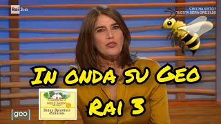 In onda su Geo la storia dell’Antica Apicoltura Gallurese [upl. by Rabush]