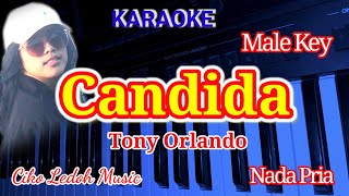 CANDIDATony OrlandoMale Key Karaoke [upl. by Tim170]