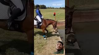 Horse riding yah to gir gai horse equestrian horseriding jumping pony equestrianlife [upl. by Nnybor]