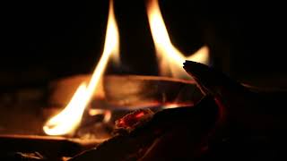 Intense Close Up of a Roaring Fire Flames in Slow Motion 5 [upl. by Masterson312]