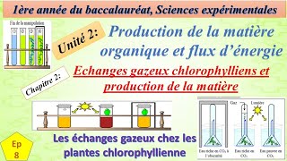 1BSEFU2CH2ep8Les échanges gazeux chez les plantes chlorophylienne التبادلات الغازية [upl. by Constantino]