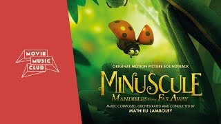 Mathieu Lamboley  Cliffhanger  From the movie quotMinuscule Mandibles From Far Awayquot [upl. by Yodlem266]