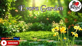 Evora Garden💚🌷🌼🌻 WonderLand [upl. by Acceb]