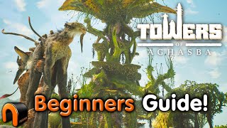 Towers of Aghasba Beginners Guide Survival [upl. by Harras]