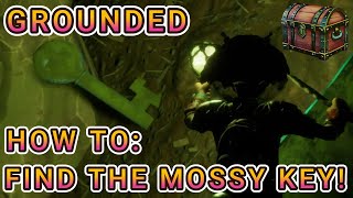 Grounded  How To Find Mossy Key and Open Sunken Chest [upl. by Tayib]