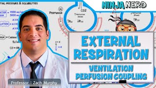 Respiratory  External Respiration Ventilation Perfusion Coupling [upl. by Yrahcaz]