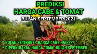 prediksi harga cabe bulan September 2021  prediksi harga tomat bulan September 2021 [upl. by Eirahcaz18]